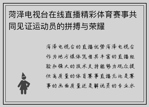 菏泽电视台在线直播精彩体育赛事共同见证运动员的拼搏与荣耀